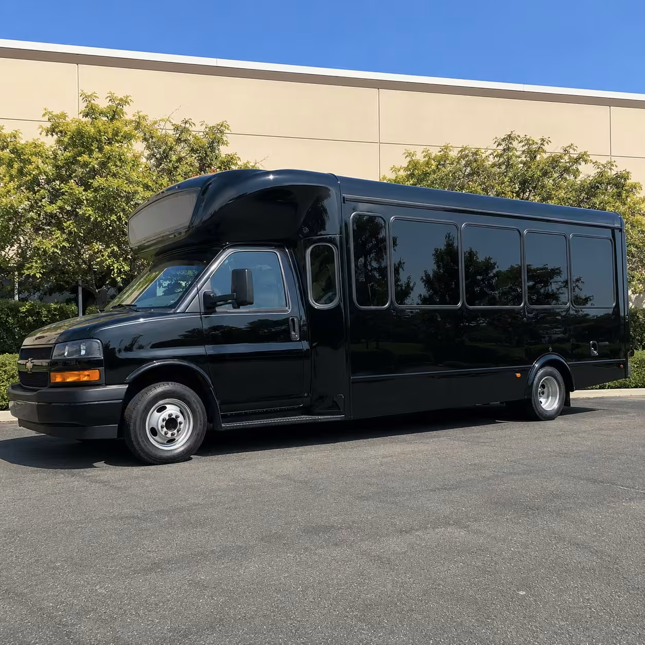 20 passenger party bus